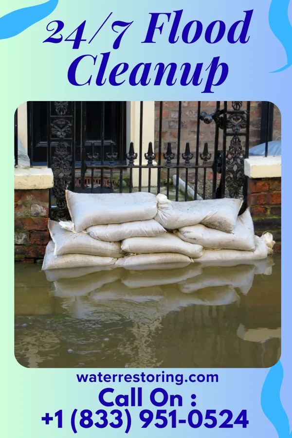 24/7 Flood Cleanup in Webberville, MI