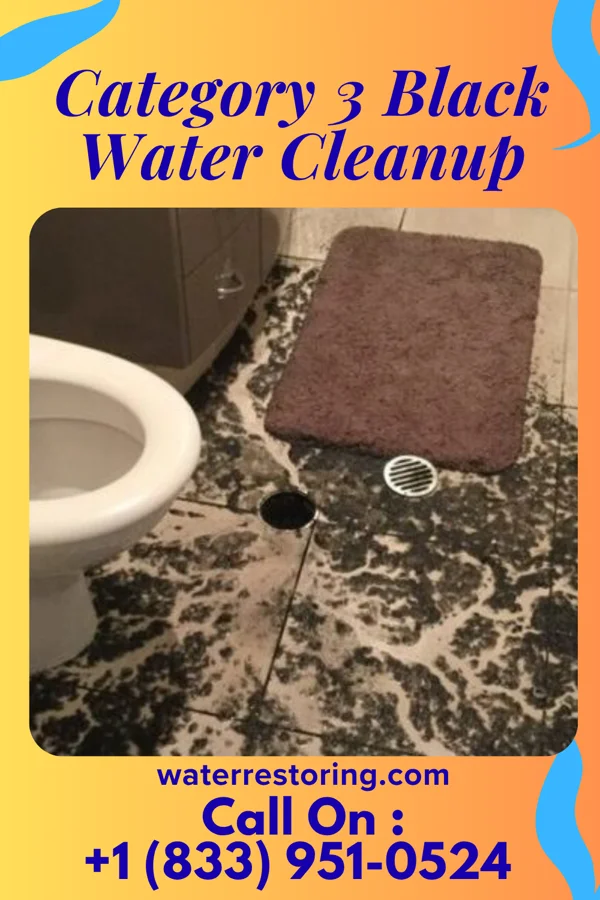Category 3 Black Water Cleanup in Webberville, MI