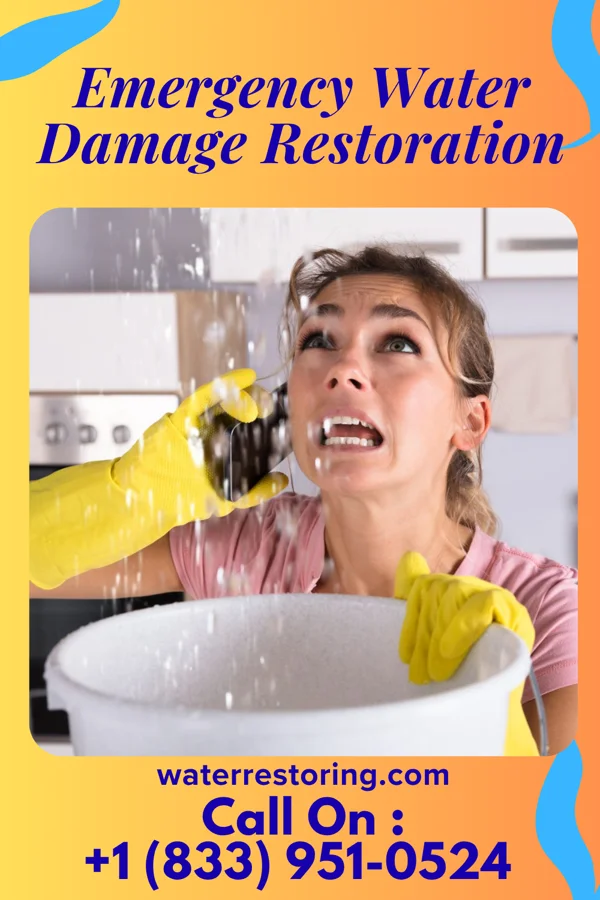 Emergency Water Damage Restoration in Webberville, MI