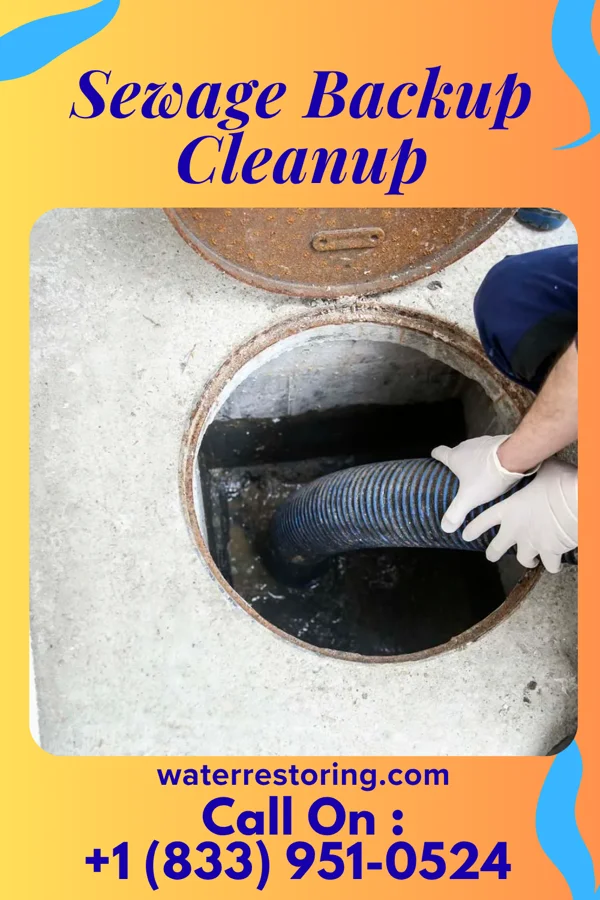 Sewage Backup Cleanup in Webberville, MI
