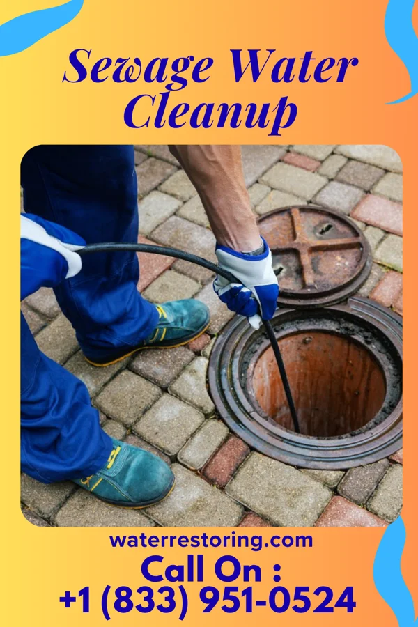 Sewage Water Cleanup in Webberville, MI